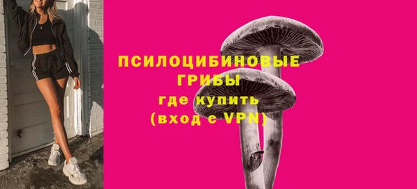ГАЛЛЮЦИНОГЕННЫЕ ГРИБЫ Аркадак