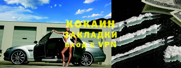ГАЛЛЮЦИНОГЕННЫЕ ГРИБЫ Аркадак